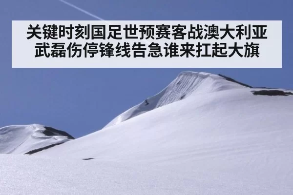 关键时刻国足世预赛客战澳大利亚武磊伤停锋线告急谁来扛起大旗