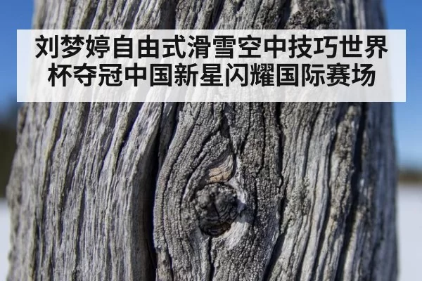 刘梦婷自由式滑雪空中技巧世界杯夺冠中国新星闪耀国际赛场